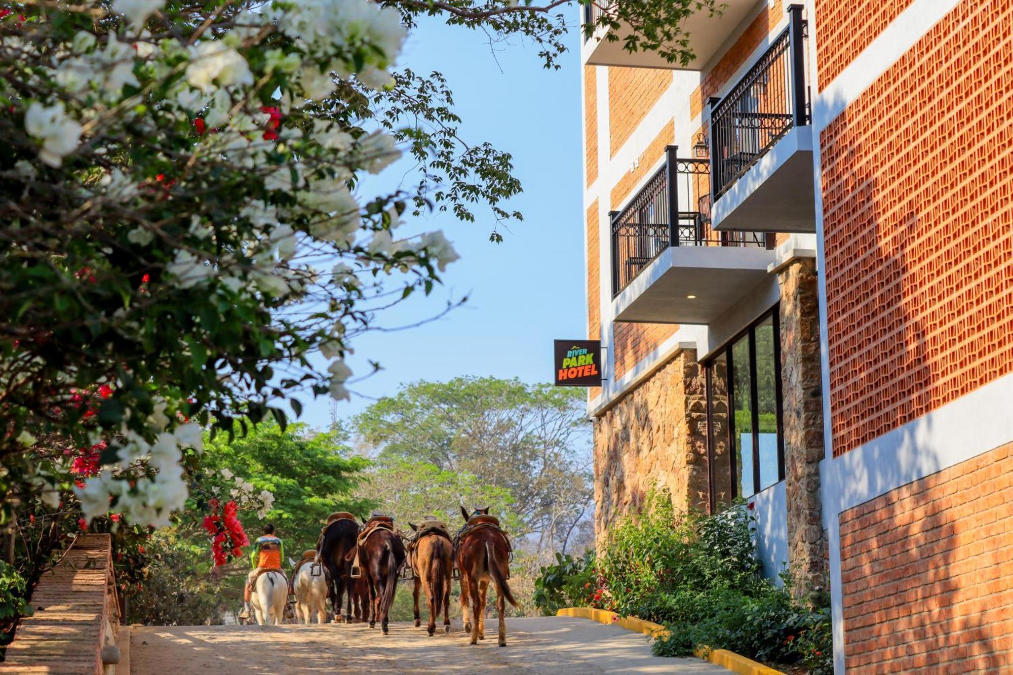 River Park Hotel Puerto Vallarta Eksteriør bilde